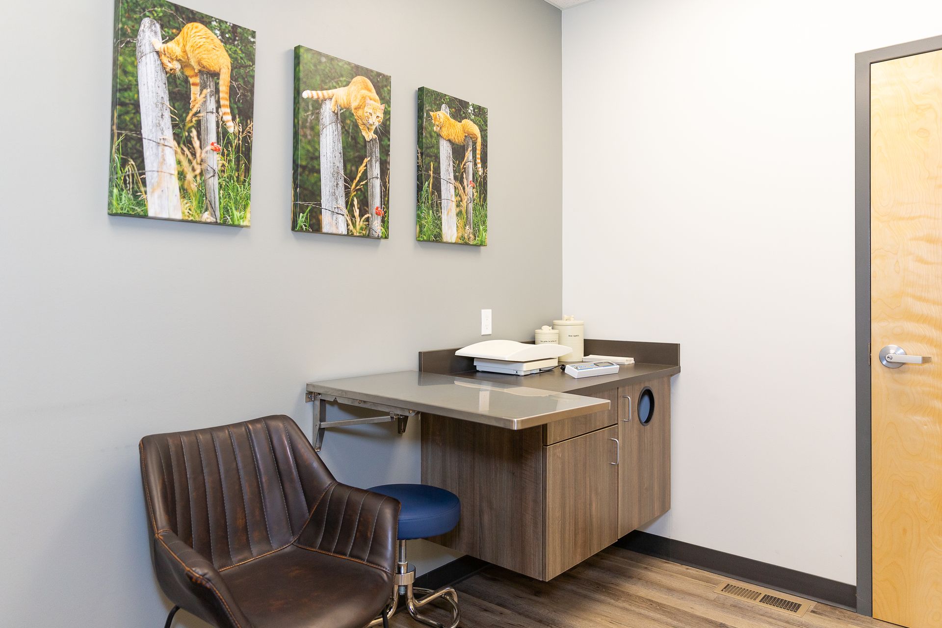 Small office with a desk, chair, and three giraffe paintings on the wall.