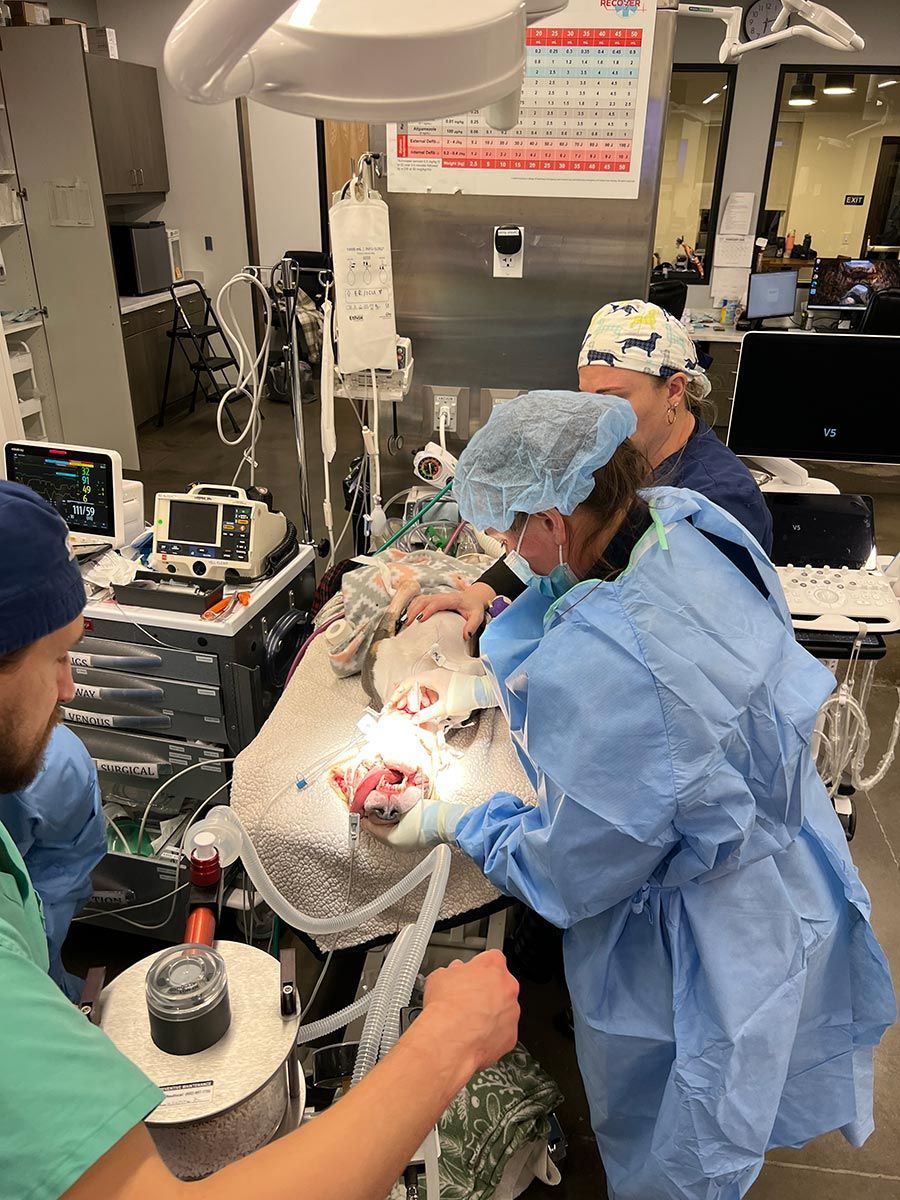 Medical team performing surgery in an operating room, with monitors and equipment nearby.