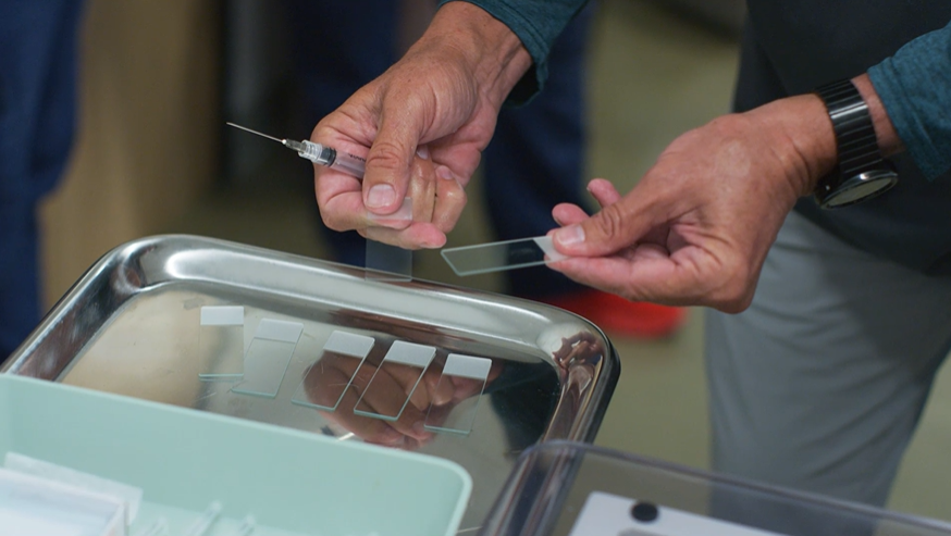 Examining microscope slides