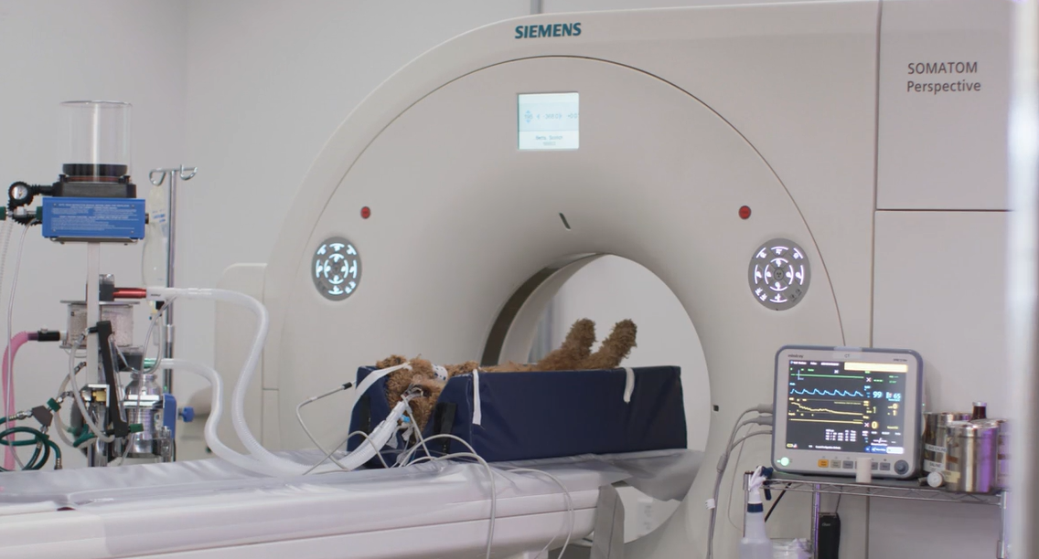 Veterinary CT and MRI scans at Bridger Veterinary Specialists and Emergency