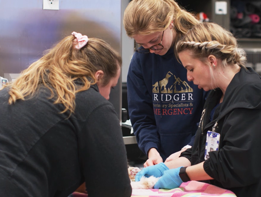 Our staff working with a patient