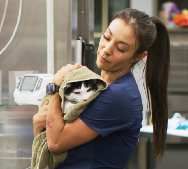 One of our staff holding a feline patient
