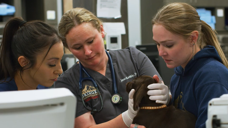 Our staff triaging a new patient