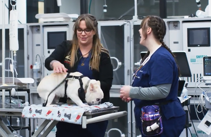 Our staff working with a neurology patient