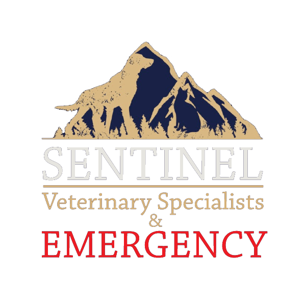 Sentinel Veterinary Specialists & Emergency Sentinel Veterinary Specialists & Emergency