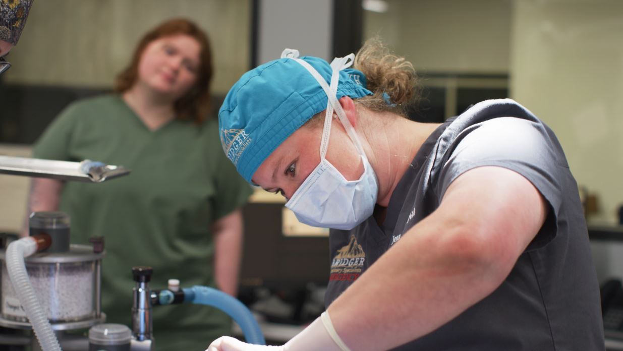 Person in blue surgical cap and mask works at a kitchen sink while another person stands behind.