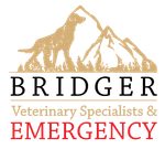 Bridger Veterinary Specialists and Emergency Logo