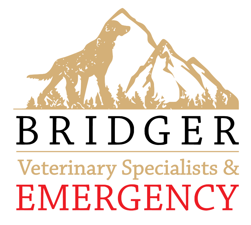 Bridger Veterinary Specialists and Emergency Logo
