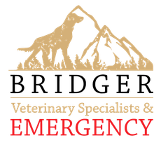 Bridger Veterinary Specialists and Emergency Logo