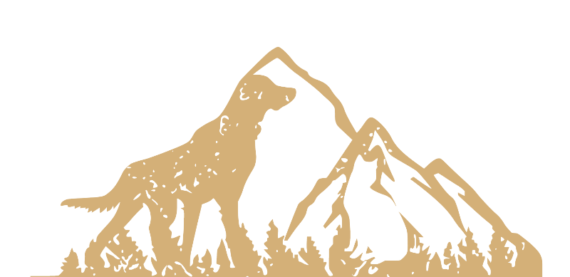 The Bridger Veterinary Specialists and Emergency gold mountain and dog icon from the logo