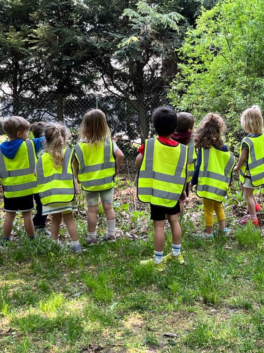 A group of children wearing yellow safety vests are standing in the grass.