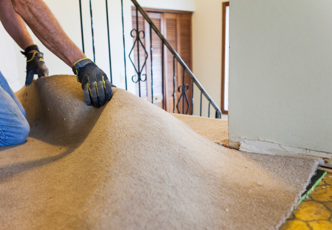 close up of a man grabbing and rolling up worn out carpet