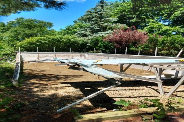 blue kayak pool that is halfway torn down  surrounded by trees