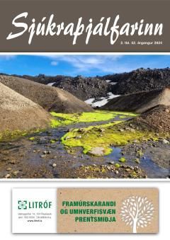 Tímaritið Sjúkraþjálfarinn 2. tbl. 2024