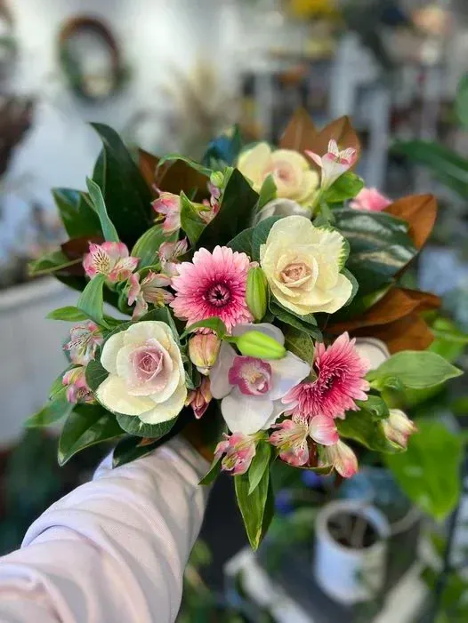 A person is holding a bouquet of pink and white flowers.