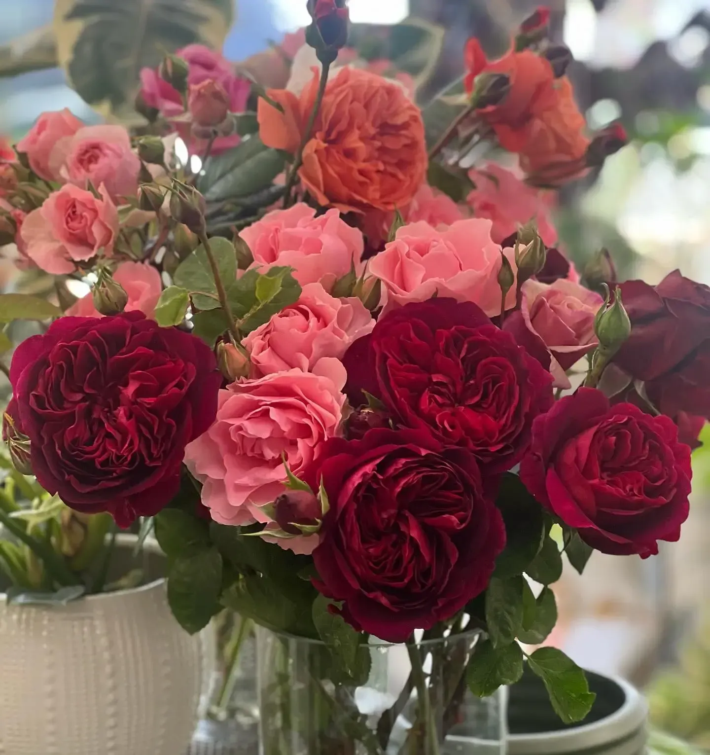 Bouquet of vibrant roses in shades of red, pink, and orange in a glass vase.