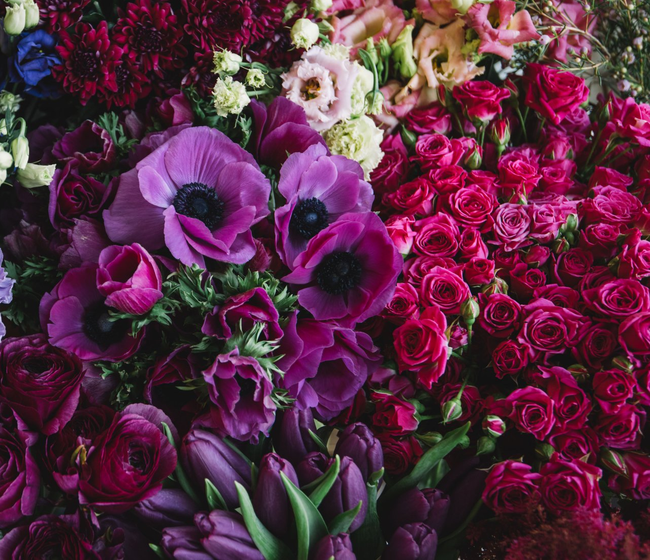 a bunch of purple flowers are sitting on top of each other .