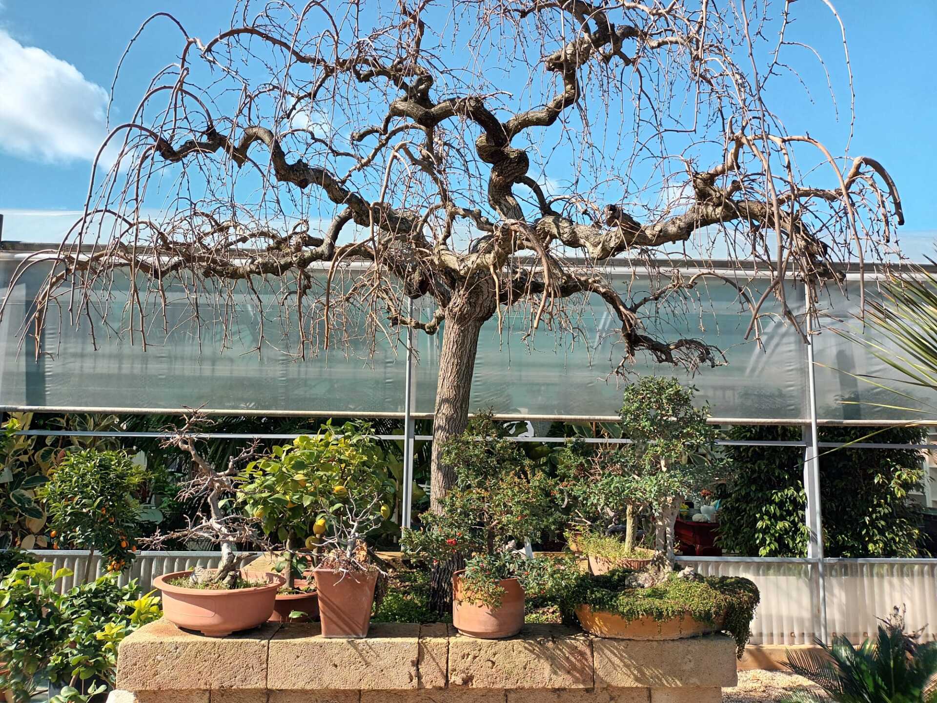 Terraverde Ruta Vivai