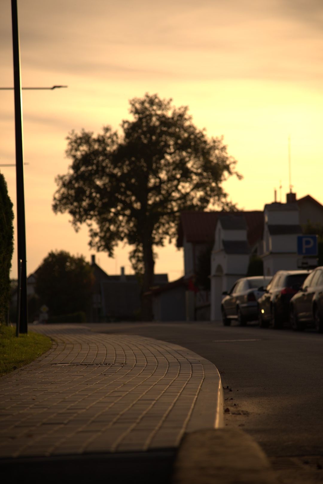 Kelių tiesimas