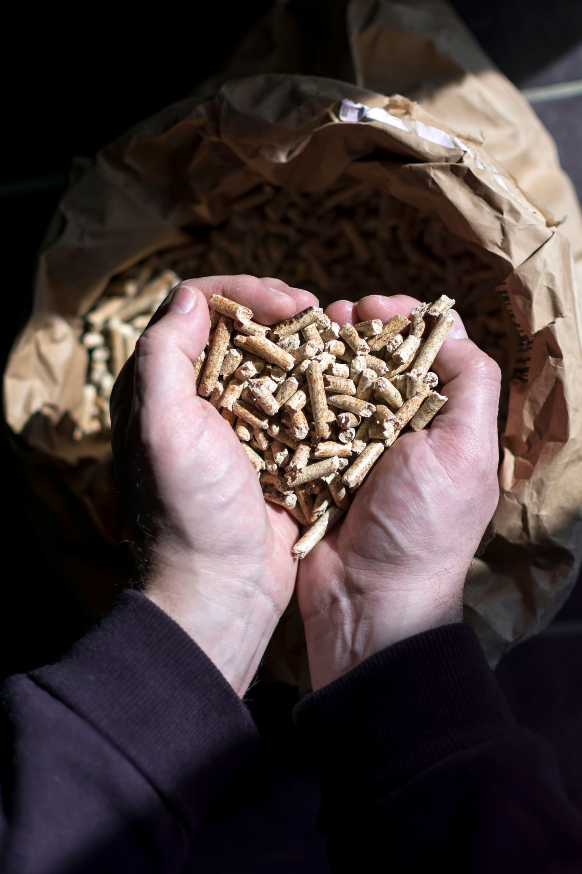 sacco di pellet come cumbustibile a basso impatto ambientale