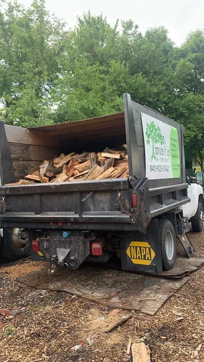 Dump truck loaded with chopped wood on a muddy forest road, side panel open.
