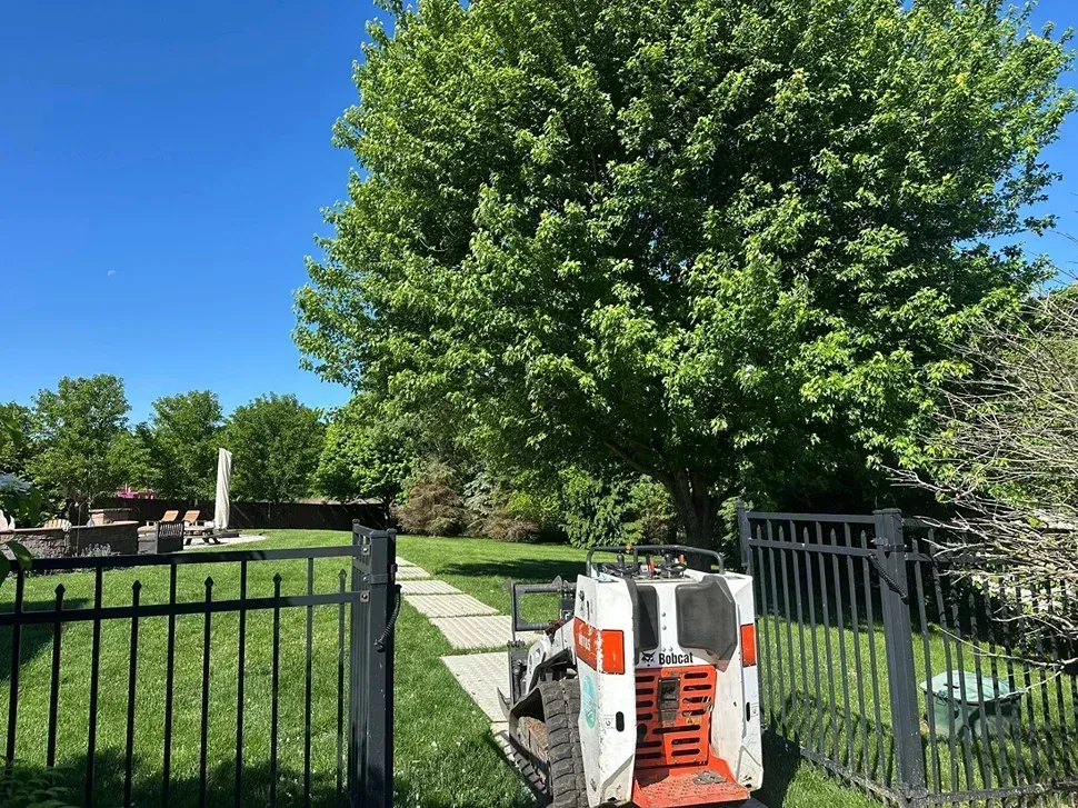 Yard with large tree, black gate, stone path, and a white-orange machine in the foreground under a blue sky