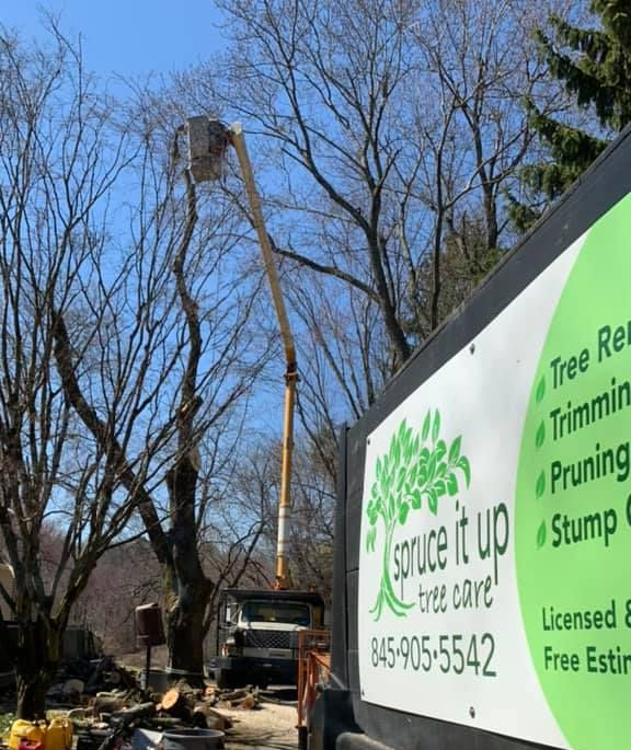 A bucket truck parked by trees with a 