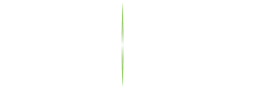 Thin vertical green line centered on a white background