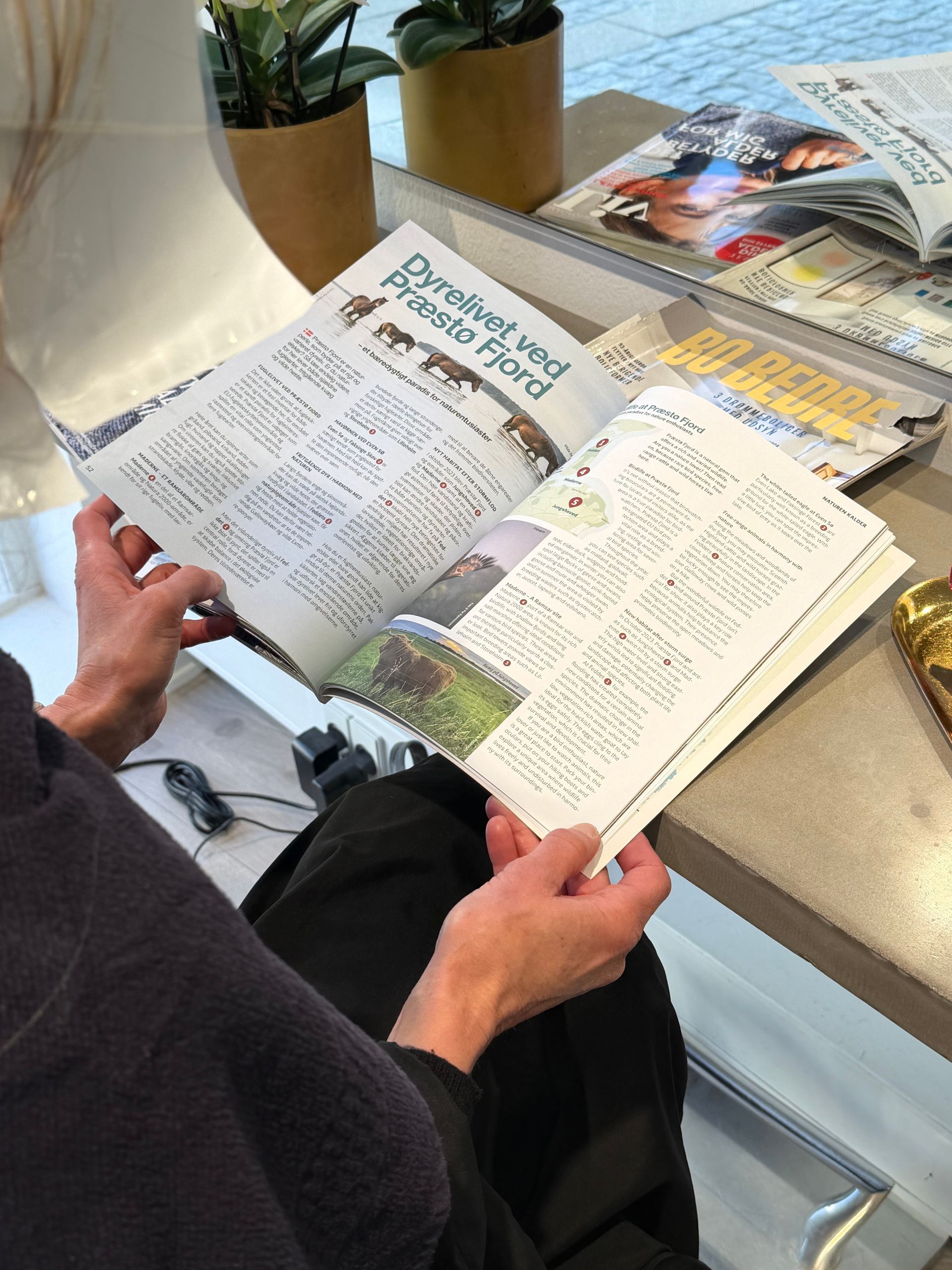 Person læser et åbent magasin ved et bord med et andet magasin og en potteplante i nærheden