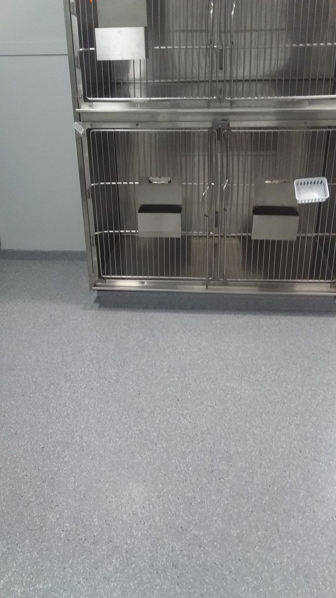 Stainless Steel Cage is Sitting on a Gray Floor in a Room — Australian Epoxy Floors in Rockhampton, QLD