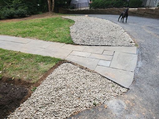 a dog standing on a sidewalk next to gravel