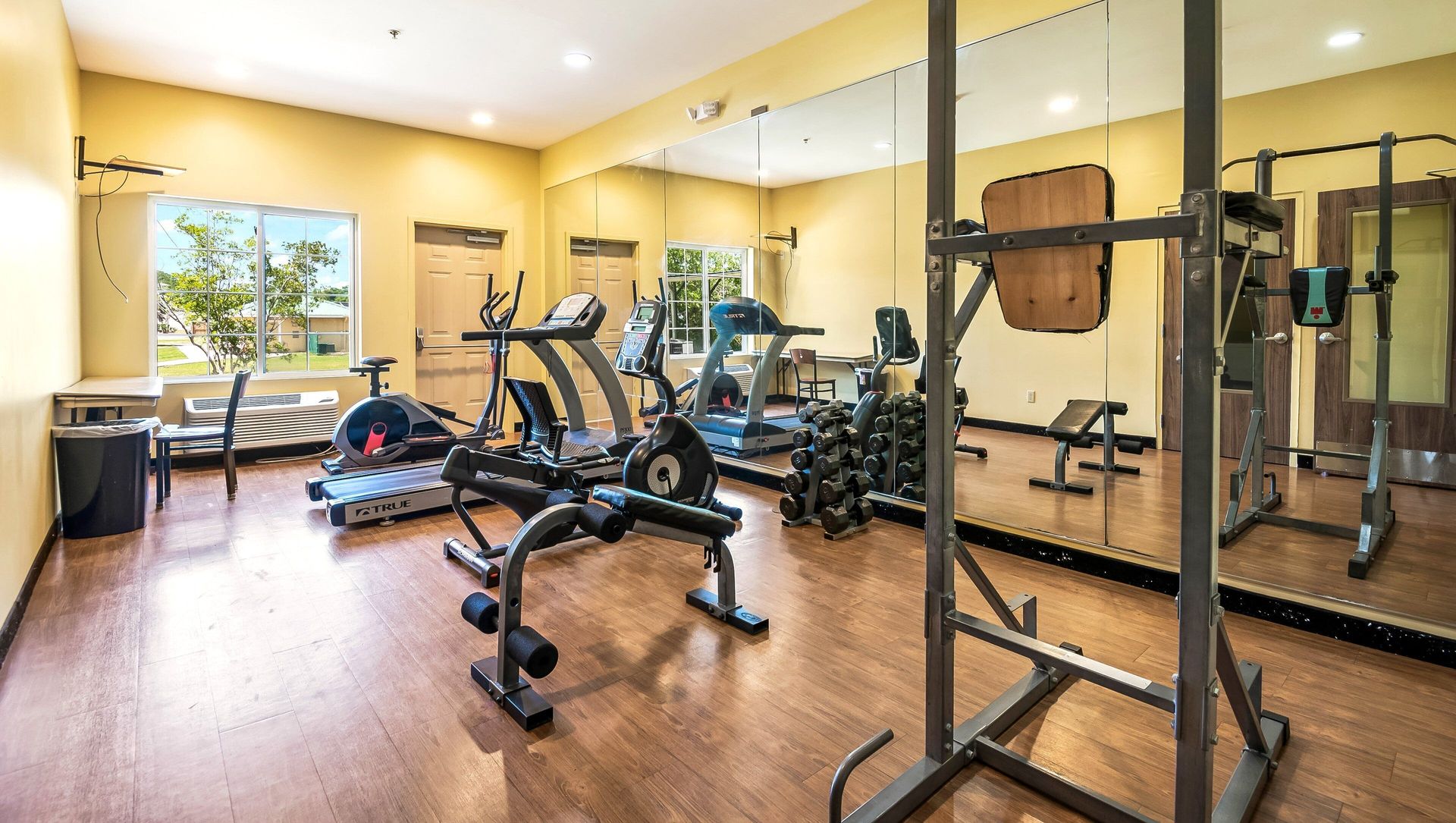 Bright gym with exercise bikes, weights, mirrors, and large windows with greenery outside