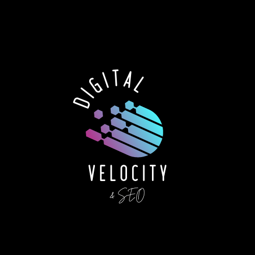 Digital Velocity and SEO logo 