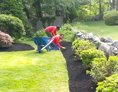 Two men are working in a garden with a wheelbarrow.