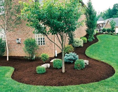 A lush green yard with a brick house in the background