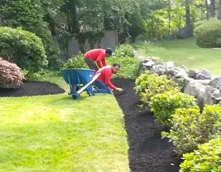 Two men are working in a garden with a wheelbarrow.