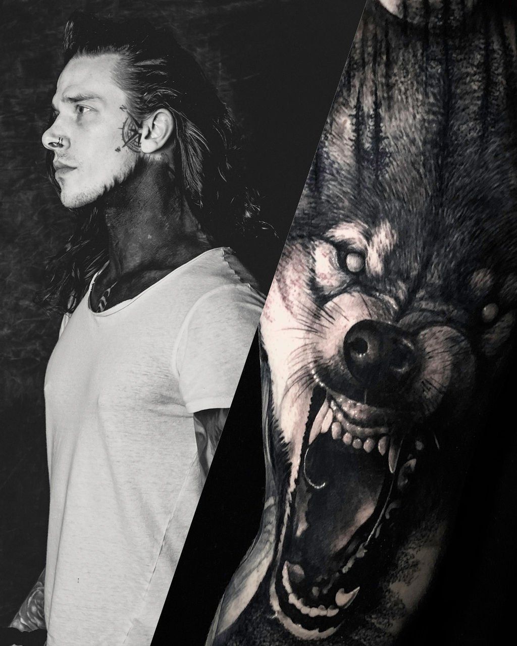 A split-screen view showing a person in profile beside a close-up, black-and-grey tattoo of a snarling wolf.