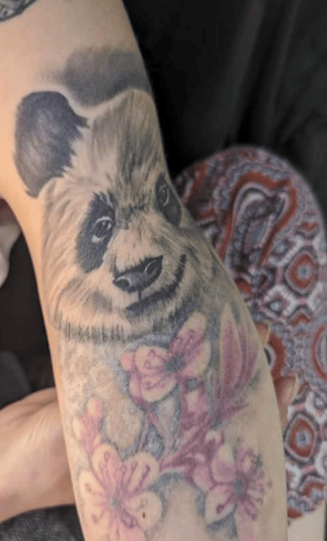 A panda tattoo on an arm, featuring soft shading and pink cherry blossom flowers.