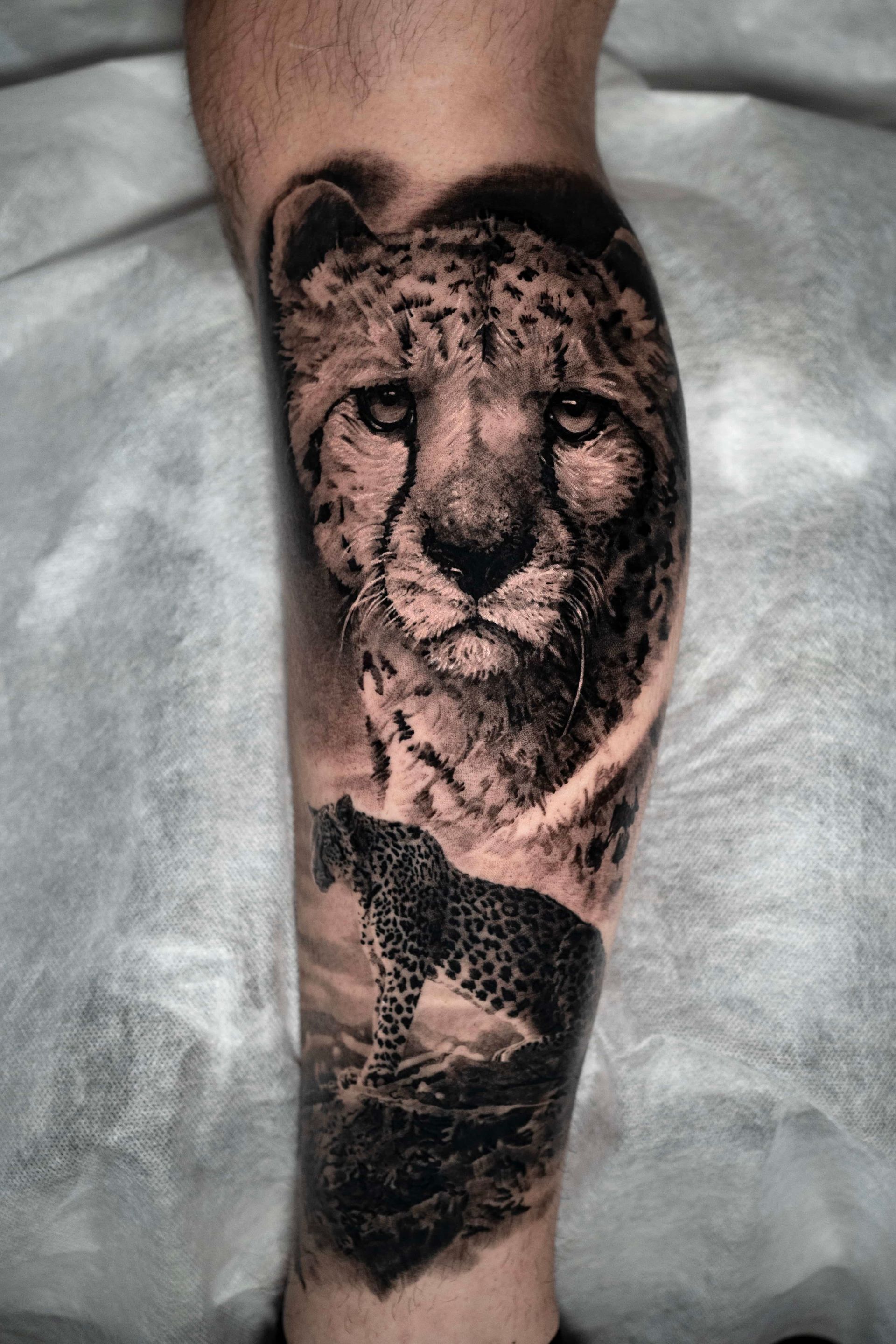 A black-and-grey tattoo on a person's calf featuring a large, detailed cheetah portrait above a full-body silhouette.