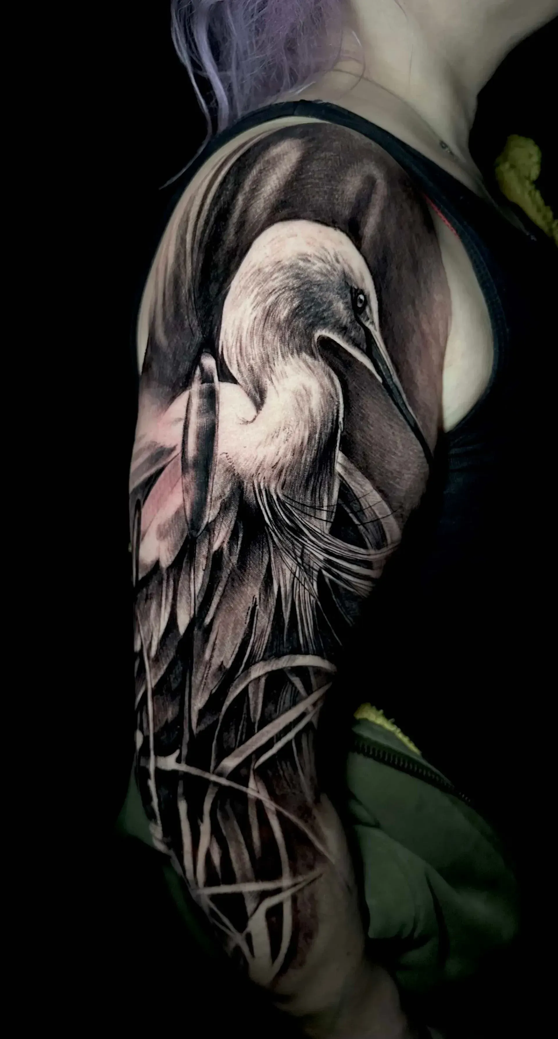 A black-and-grey tattoo of a heron surrounded by tall reeds on a person's upper arm against a black background.