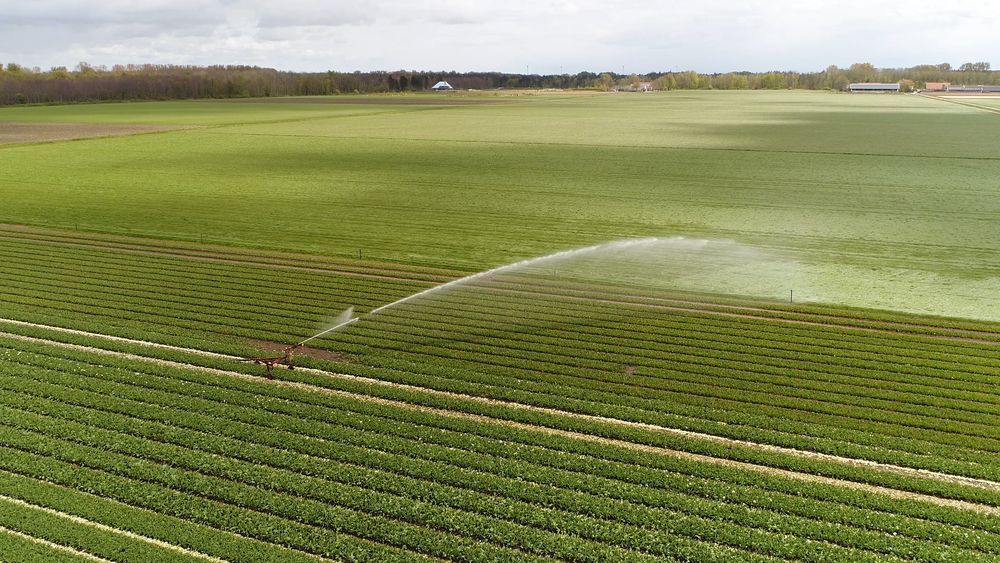 An Aerial View Of A Field Of Plants Being Watered By A Sprinkler  — Fewmore Contracting in Humpty Doo, NT