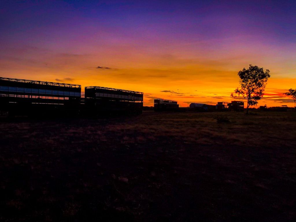 There is a Sunset in the Background With a Tree in the Foreground — Fewmore Contracting in Yarrawonga, NT