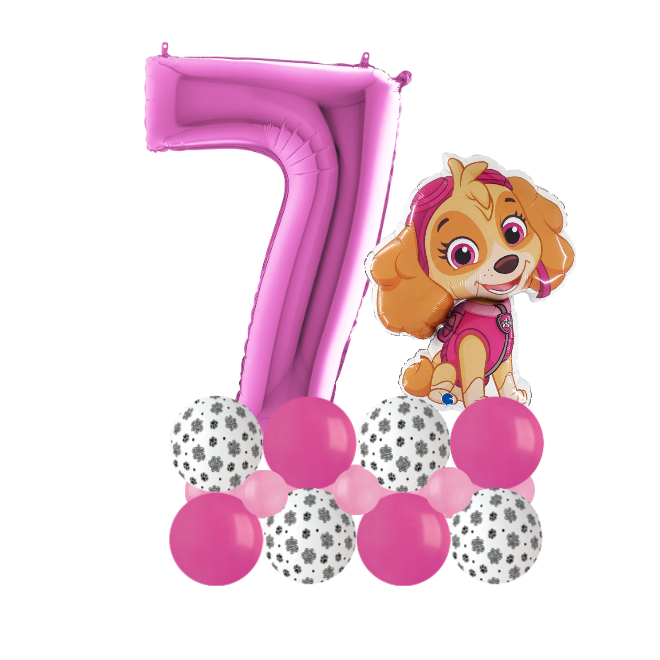 Paw patrol sky luxury number 7