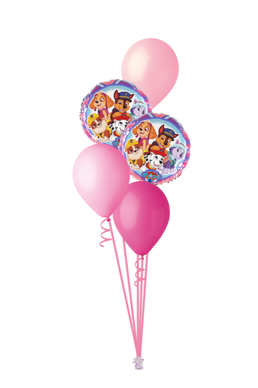 paw patrol sky luxury helium