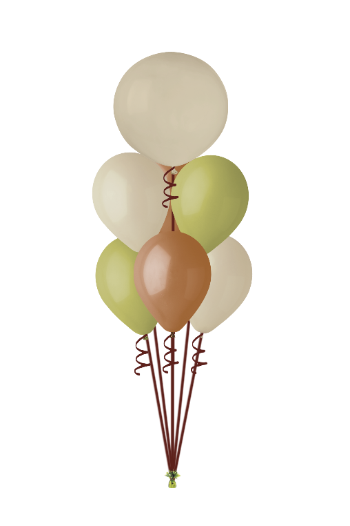 olive signature helium