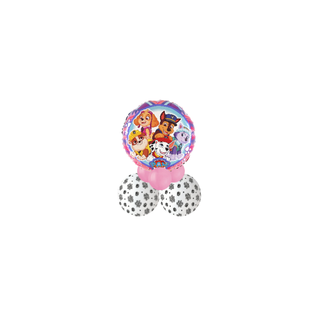 Paw patrol mini