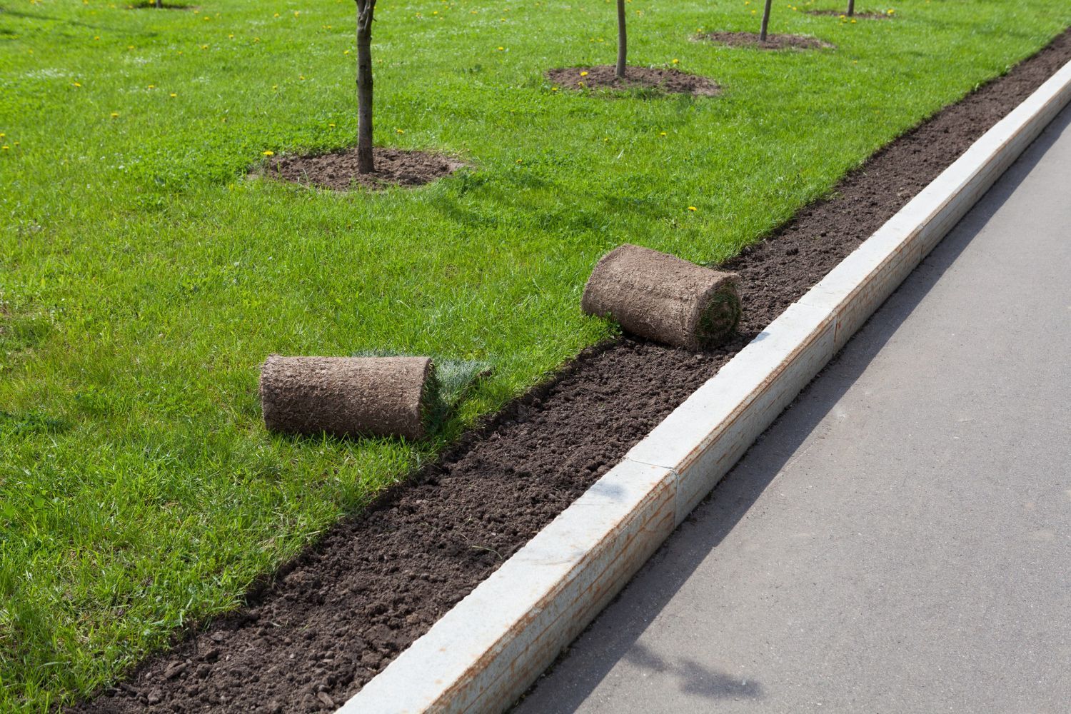 Rolled sod pieces along a curb beside a road, with fresh green grass and young trees nearby