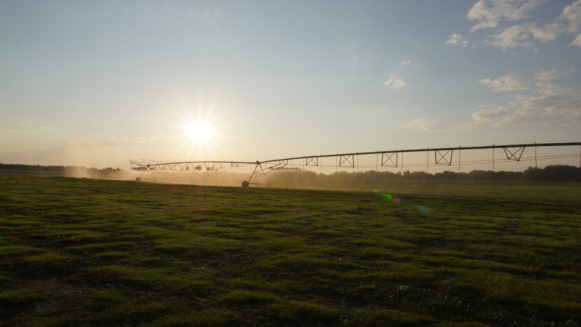 Sunrise over a grassy field with rows of irrigated crops and sprinklers spraying mist