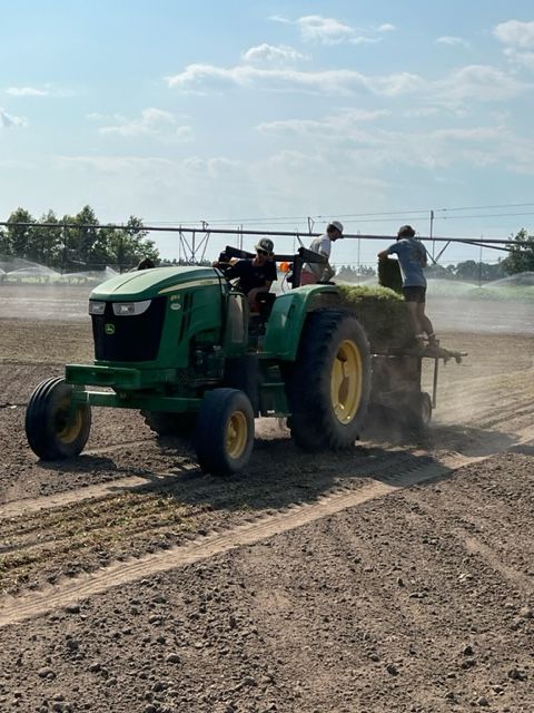 Green tractor spraying a dirt field, with workers aboard and dust rising under a blue sky