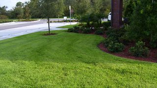 A manicured lawn with a curved mulch bed, shrubs, and a brick pillar, next to a paved driveway and trees.
